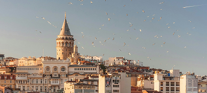 turkey